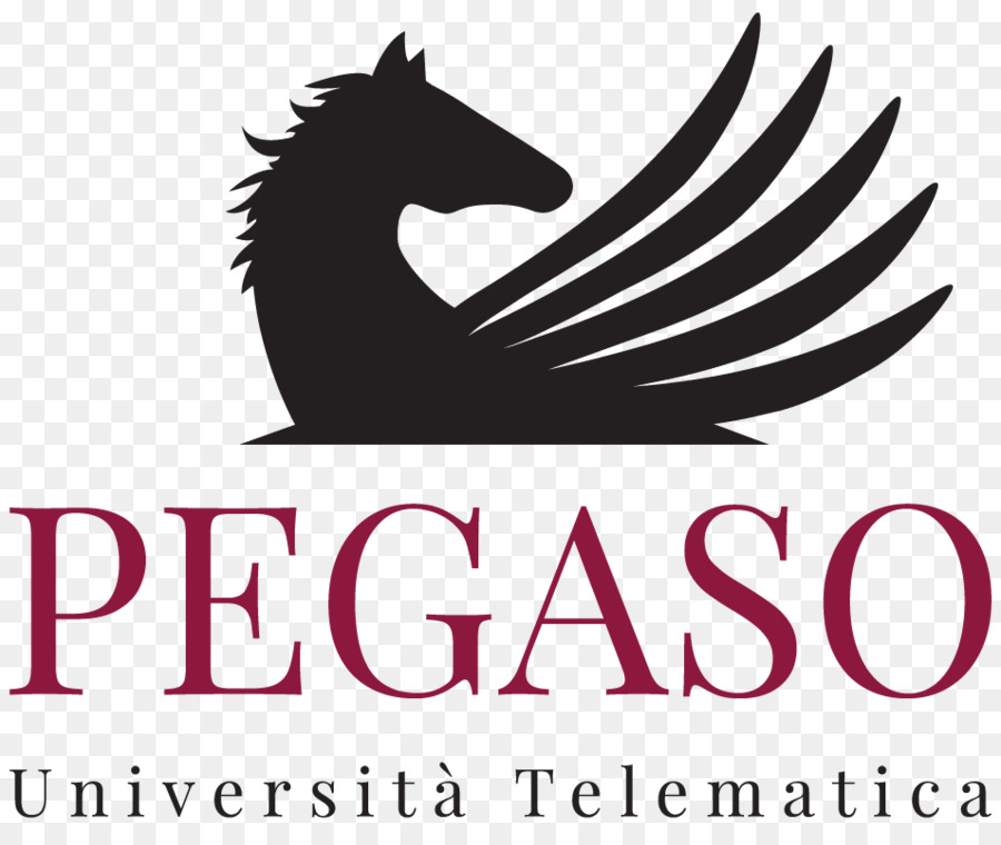Logo，Université PNG