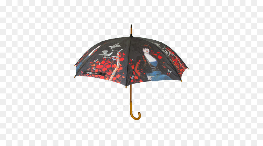 Musée Carmen Thyssen，Parapluie PNG