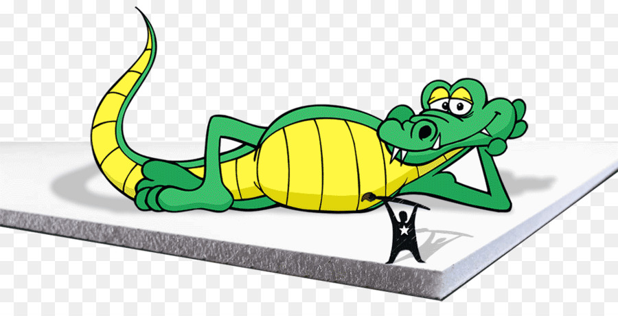Les Alligators，Le Vert De La Vallée De L école élémentaire PNG
