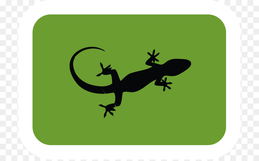 Gecko，Lézard PNG