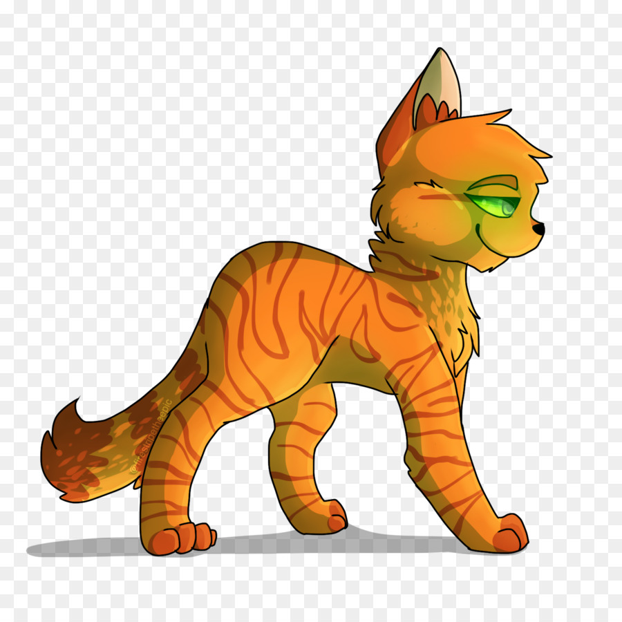 Chat，Félin PNG