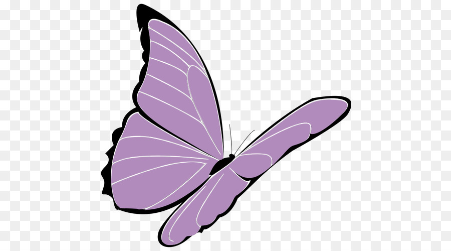 Violet，Papillon PNG
