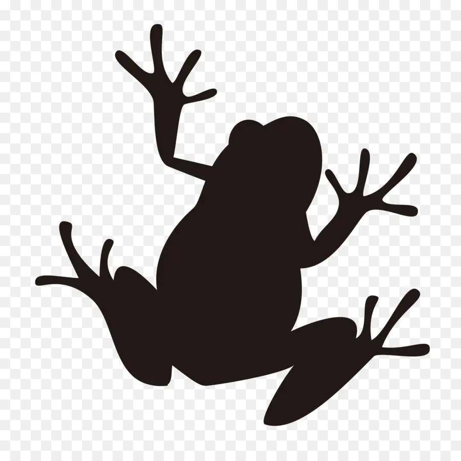 Silhouette De Grenouille，Amphibie PNG