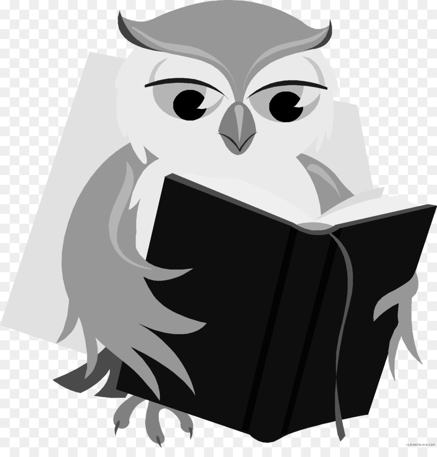 Bebe Hibou Livre La Lecture Png Bebe Hibou Livre La Lecture Transparentes Png Gratuit