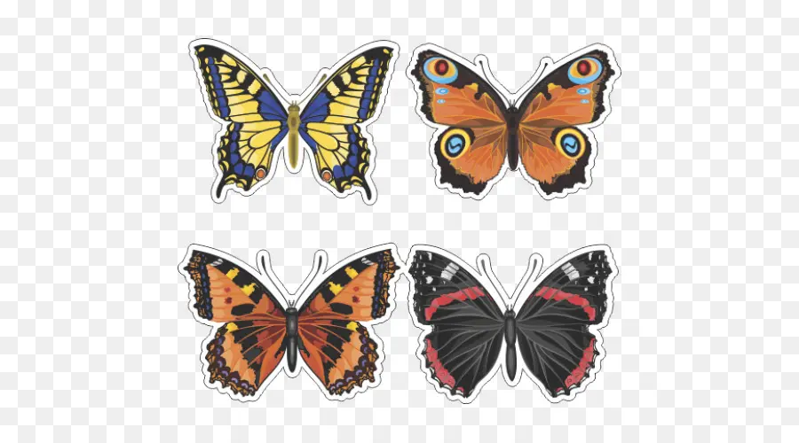 Papillon，Istock PNG