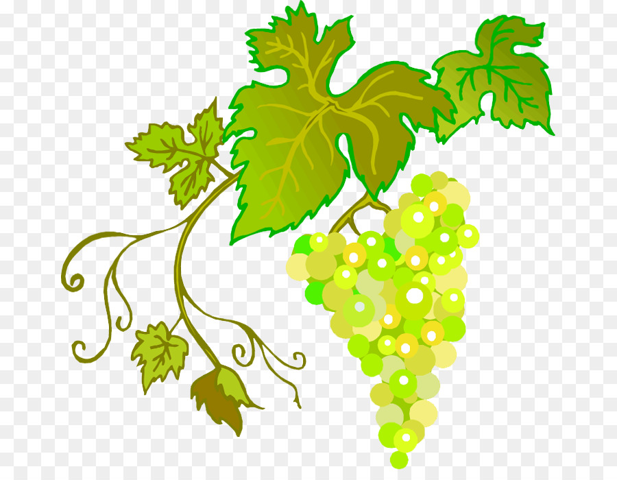 Raisins Verts，Bouquet PNG