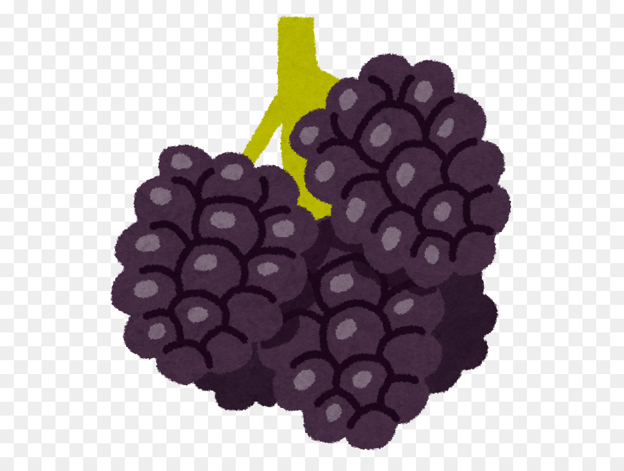 Raisin，Smoothie PNG