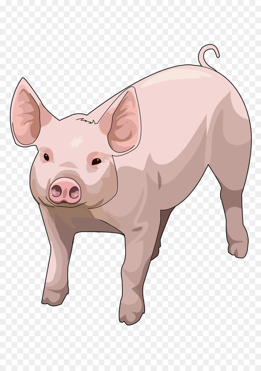 Cochon，Figurine Cochon PNG