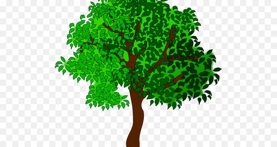 Arbre Vert，Nature PNG