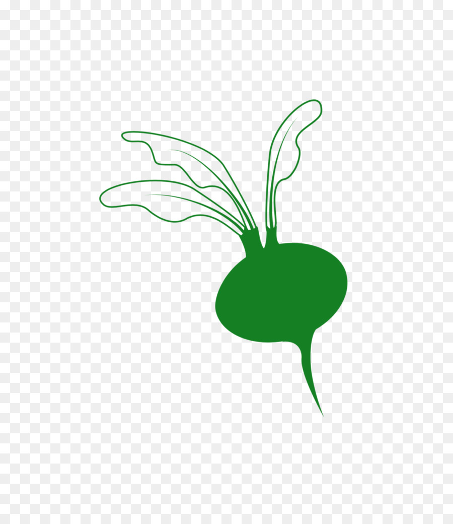 Logo，Fruits PNG