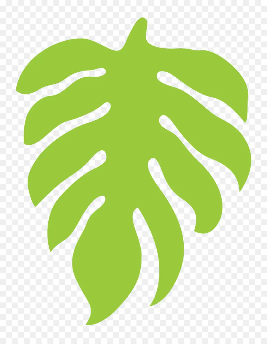 Feuille，Vert PNG