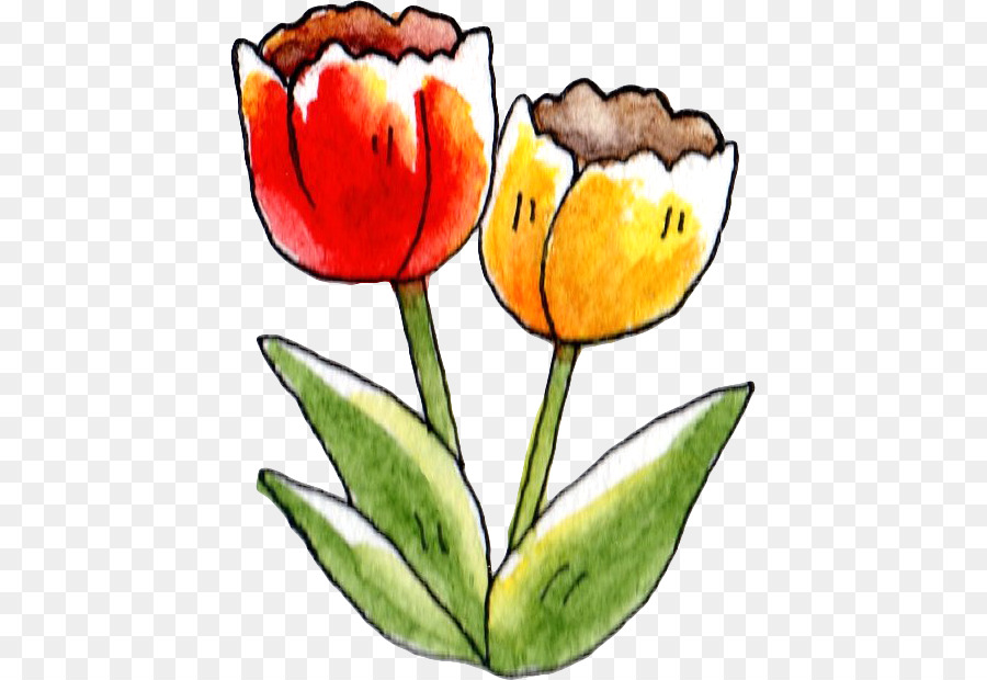 Tulip，Fleur PNG