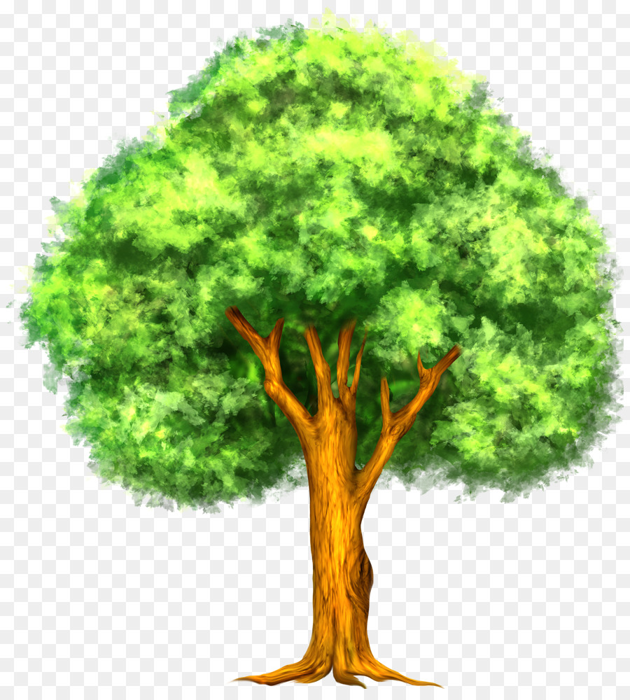 Arbre Vert，Feuilles PNG