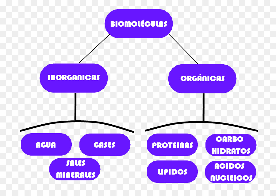 Biomolécules，Chimie PNG