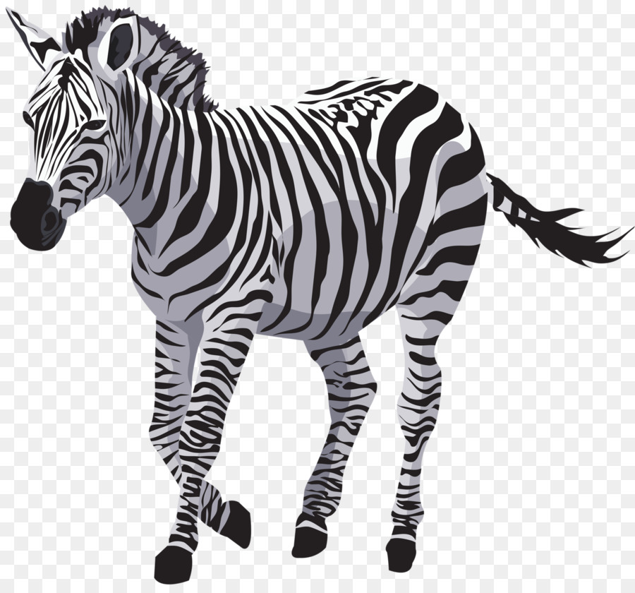 Cheval Zebre Dessin Png Cheval Zebre Dessin Transparentes Png Gratuit