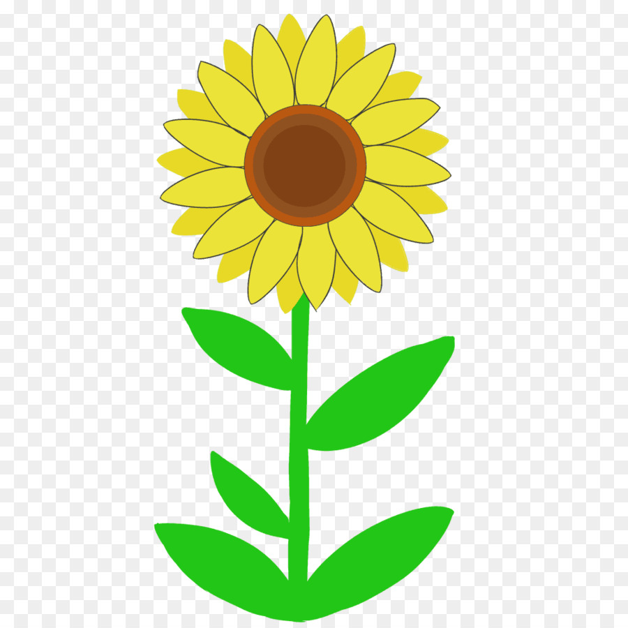 Fleur Jaune，Nature PNG