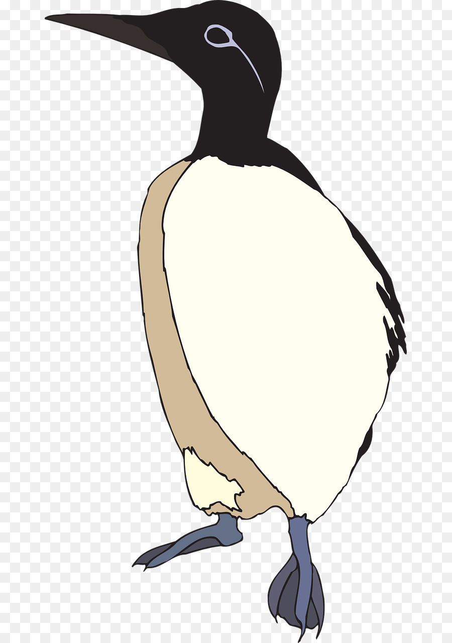 Oiseau，Canard PNG