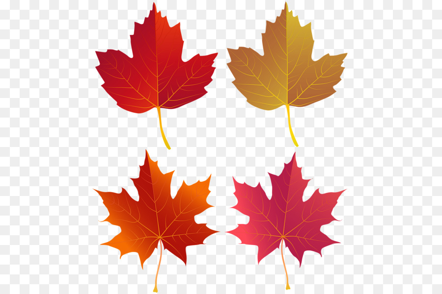 Feuilles D'automne，Automne PNG