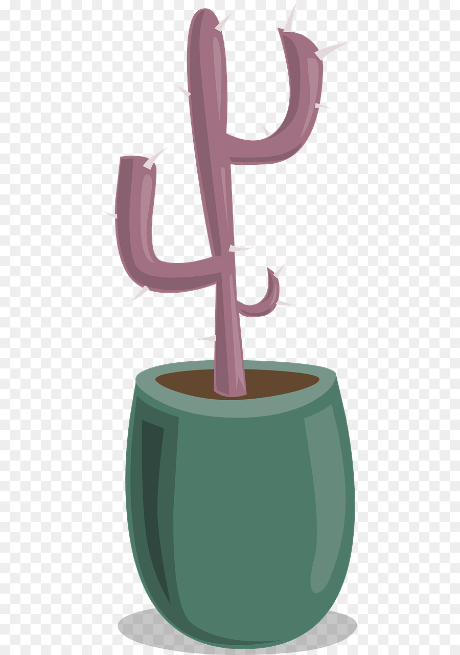 Cactus，Papier PNG