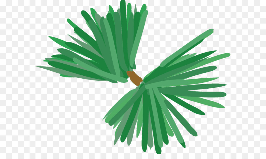 Pin，Feuille PNG