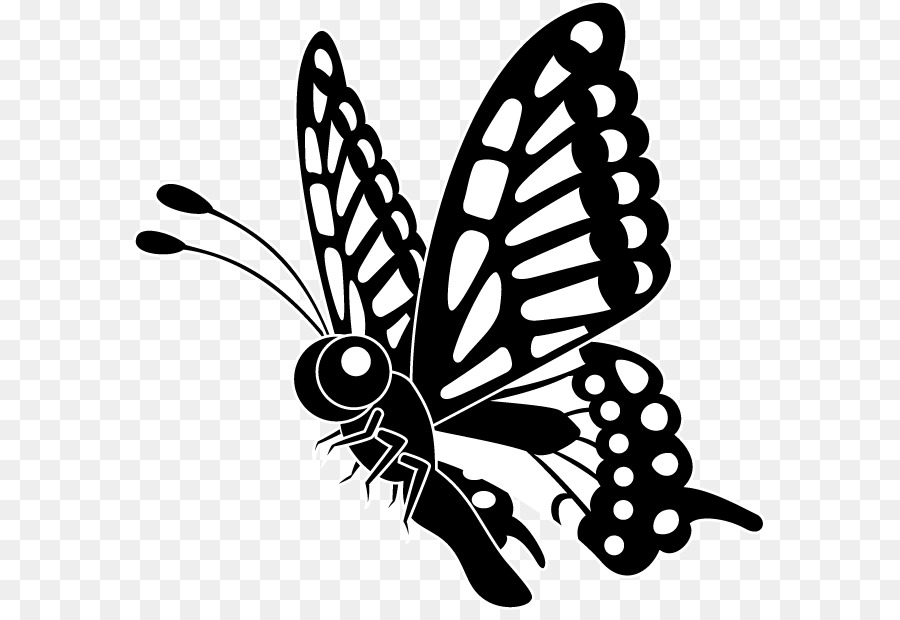 Papillon Noir Et Blanc，Ailes PNG