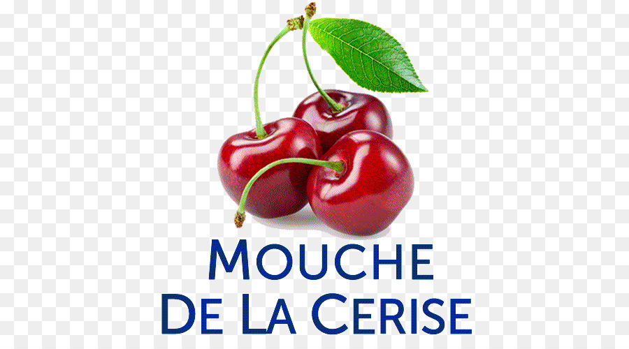 La Barbade Cerises，La Nourriture PNG