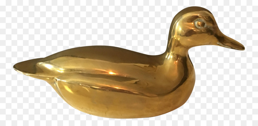 Canard，Mallard PNG