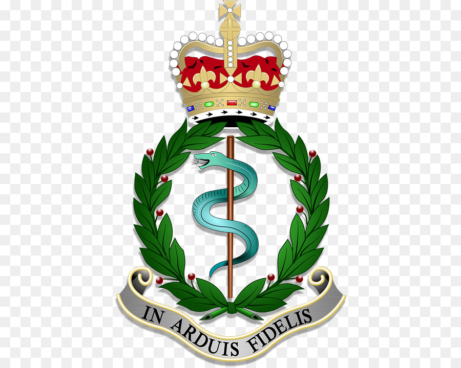 Corps Médical De L'armée Royale，Régiment PNG