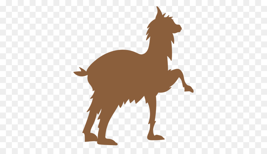 Chien，Appelé PNG