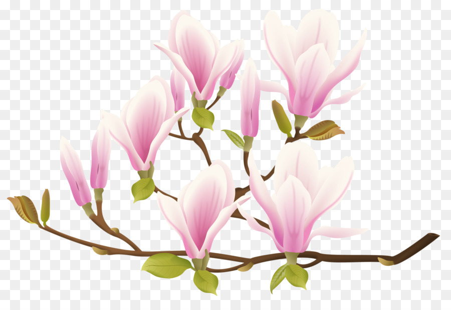 Fleurs Roses，Bifurquer PNG