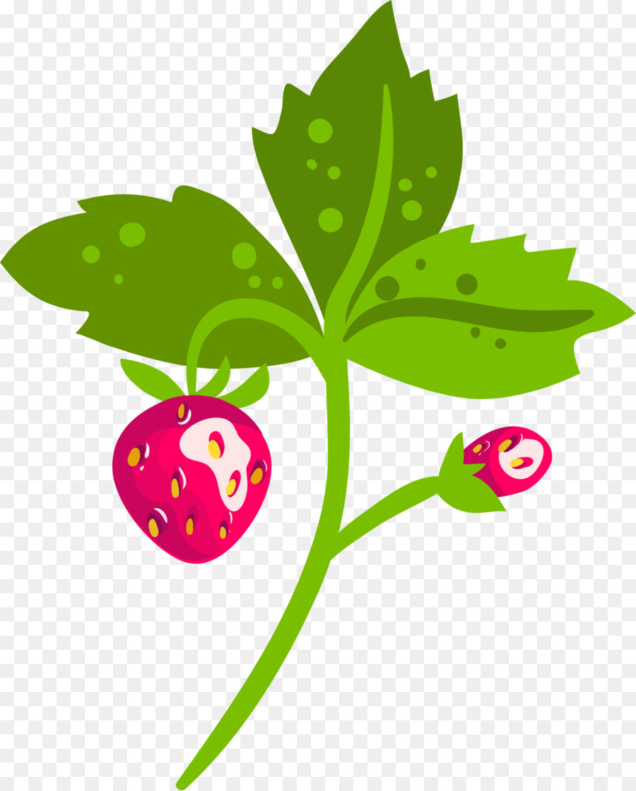 Fruits，Fraise PNG