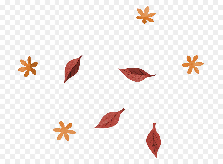 Feuilles Colorées，Automne PNG