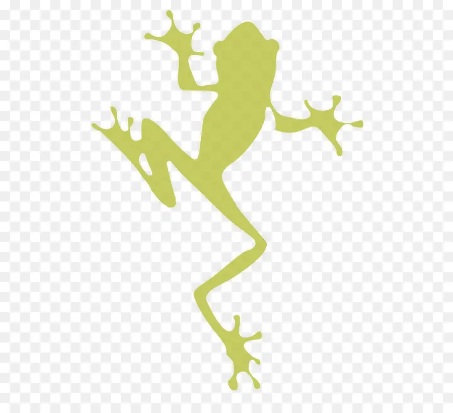 Grenouille，Rainette PNG