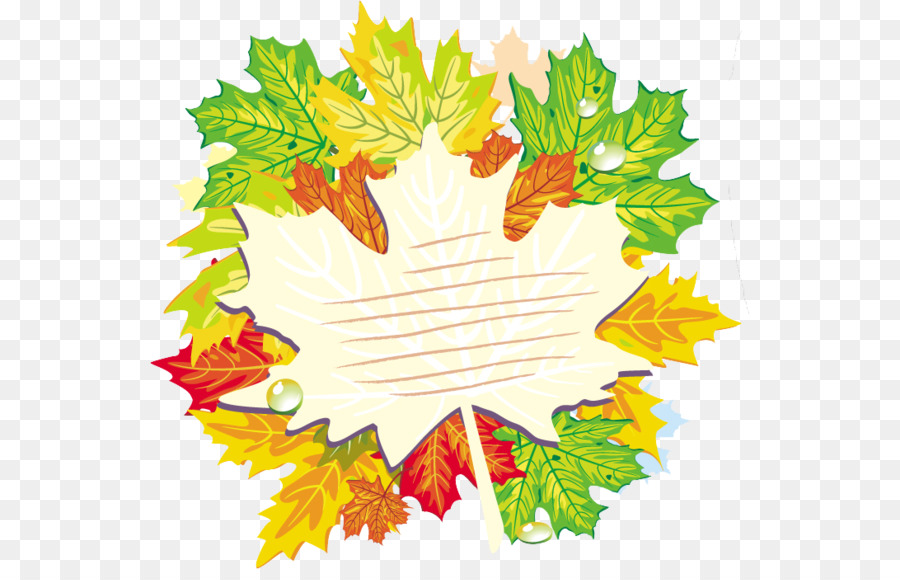 Feuilles Colorées，Automne PNG