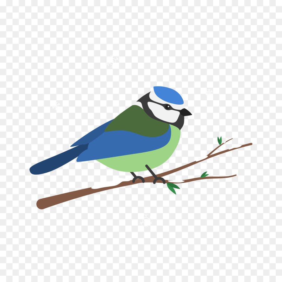 Oiseau，Geai Bleu PNG