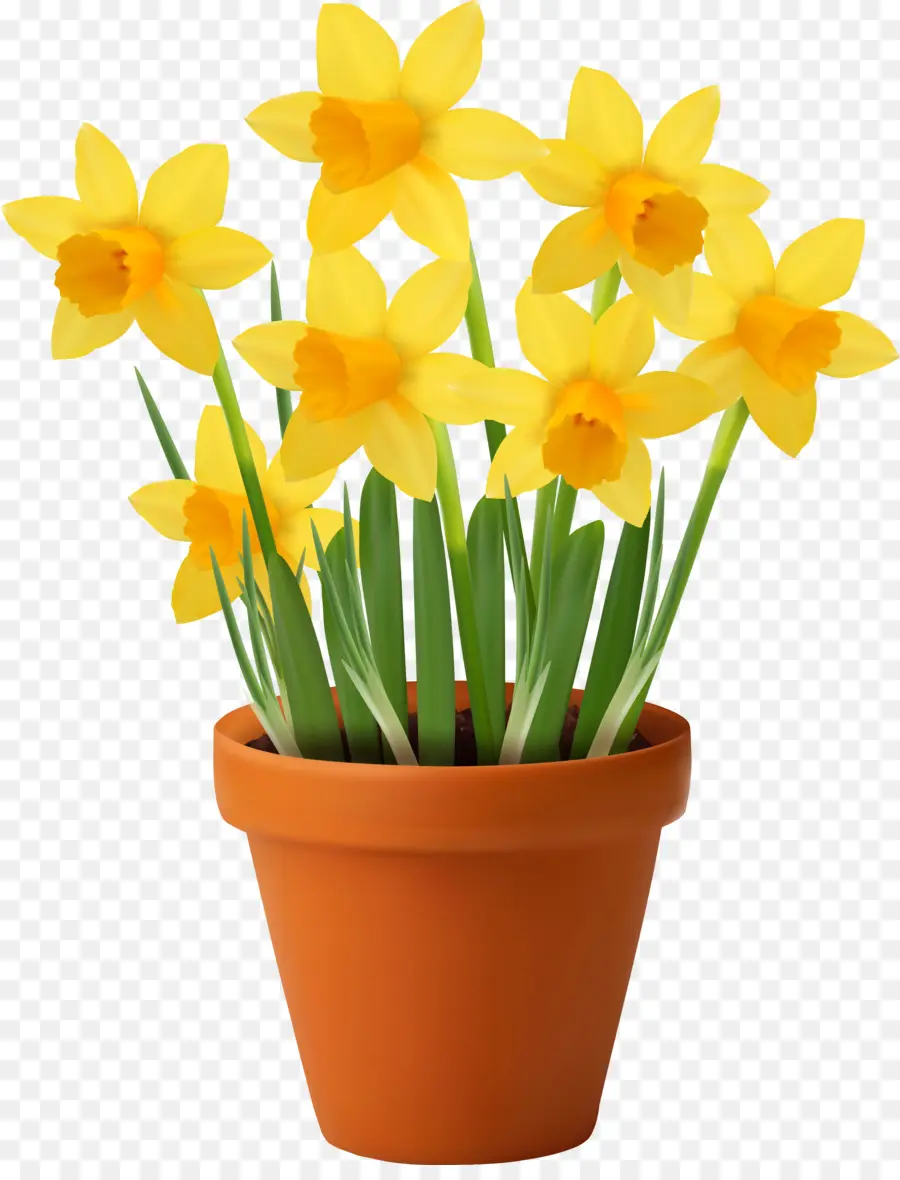 Flowerpot，Royaltyfree PNG