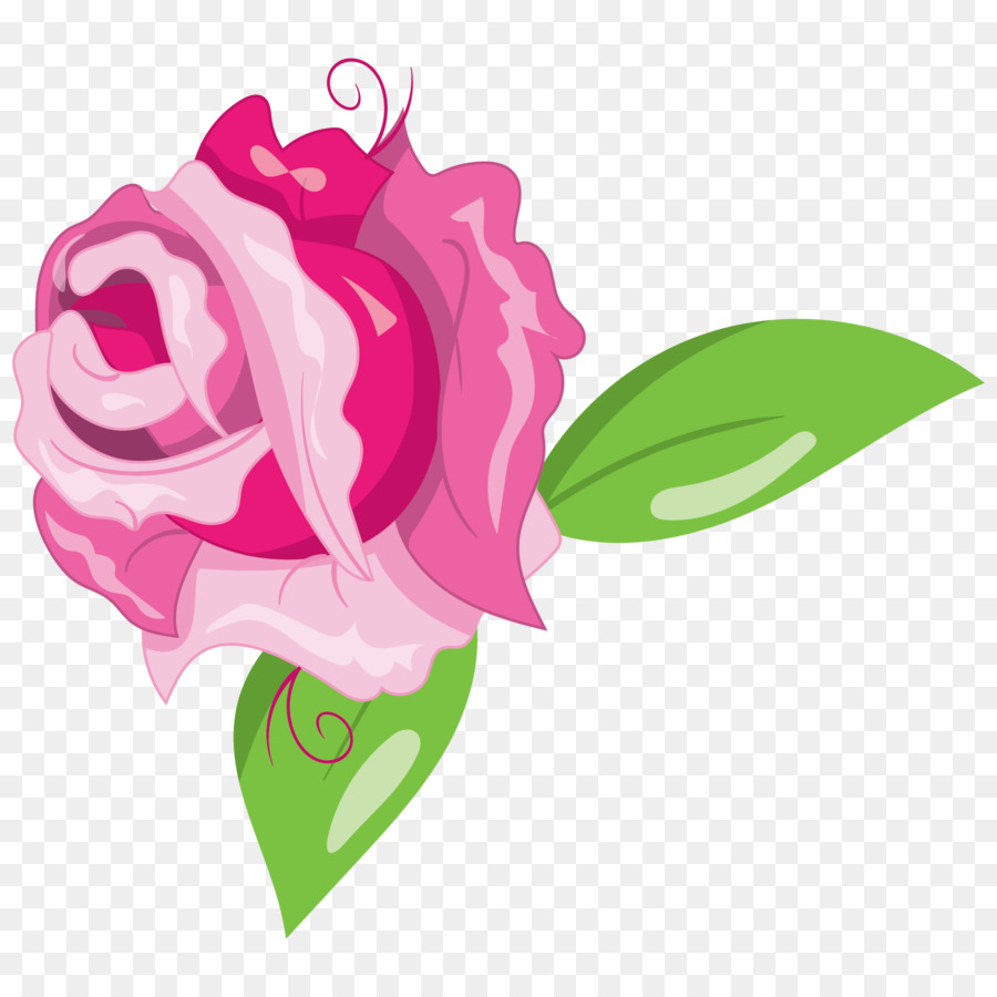 Roses，Floraison PNG