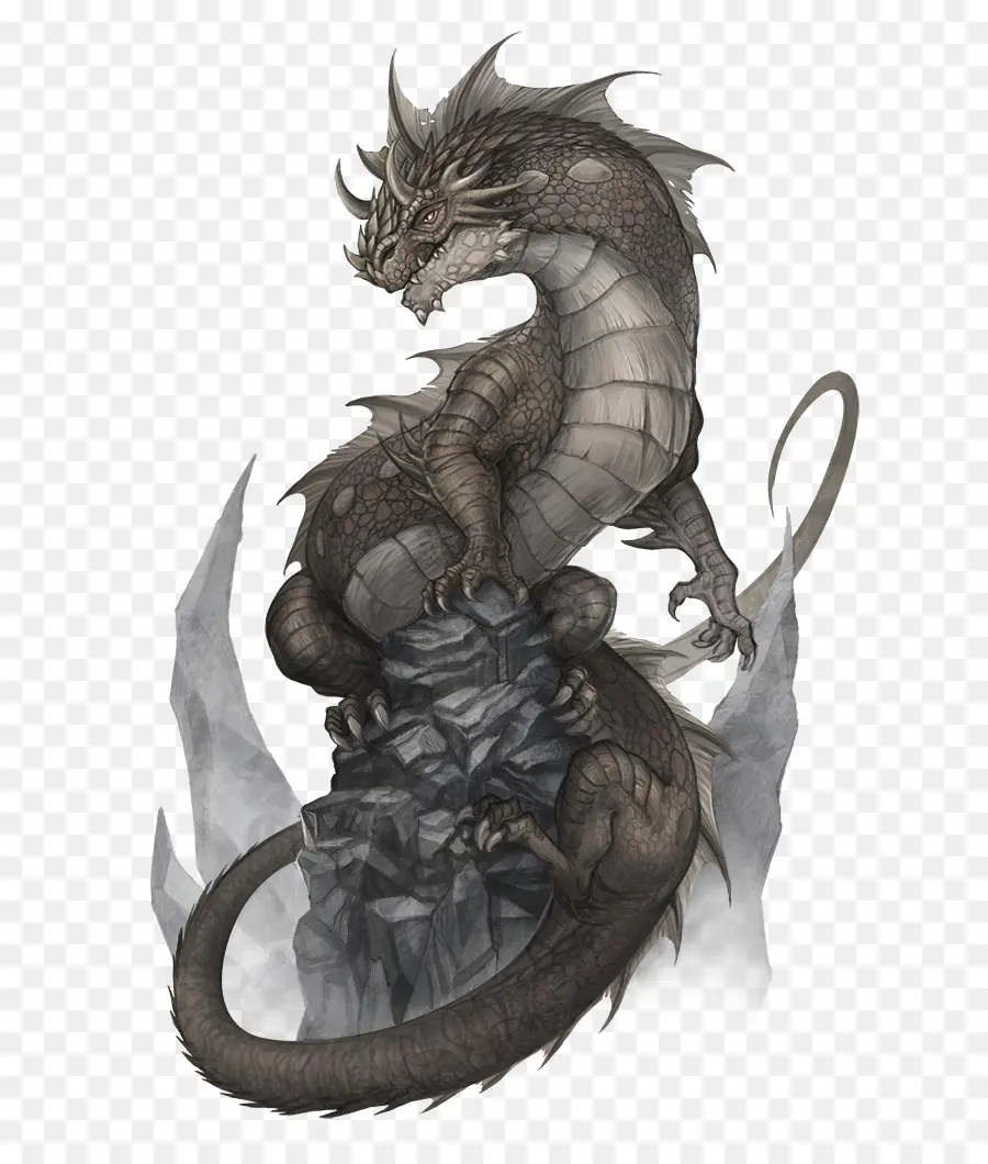 Dragon，Rocher PNG