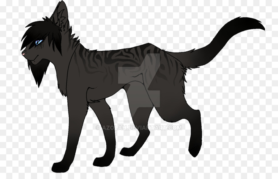 Chat Noir，Animal De Compagnie PNG