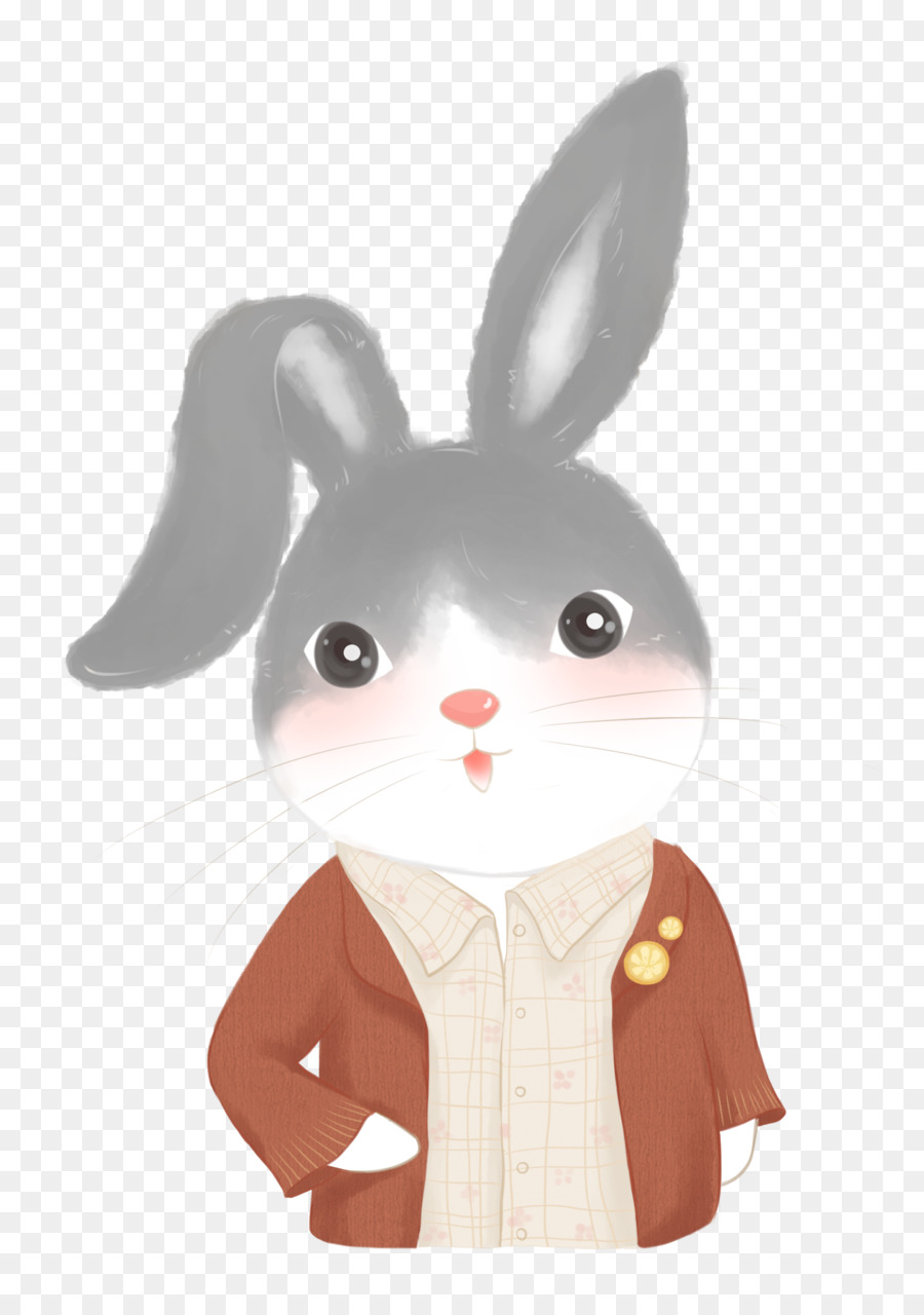 Un Lapin Domestique，Lapin PNG