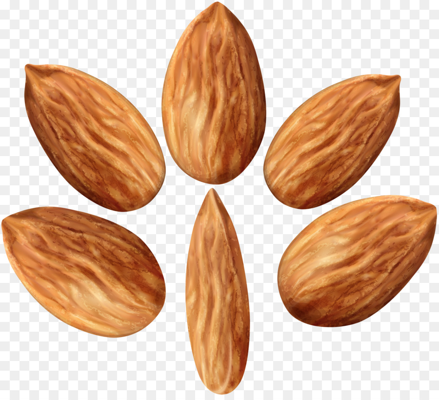 Amandes，Noix PNG