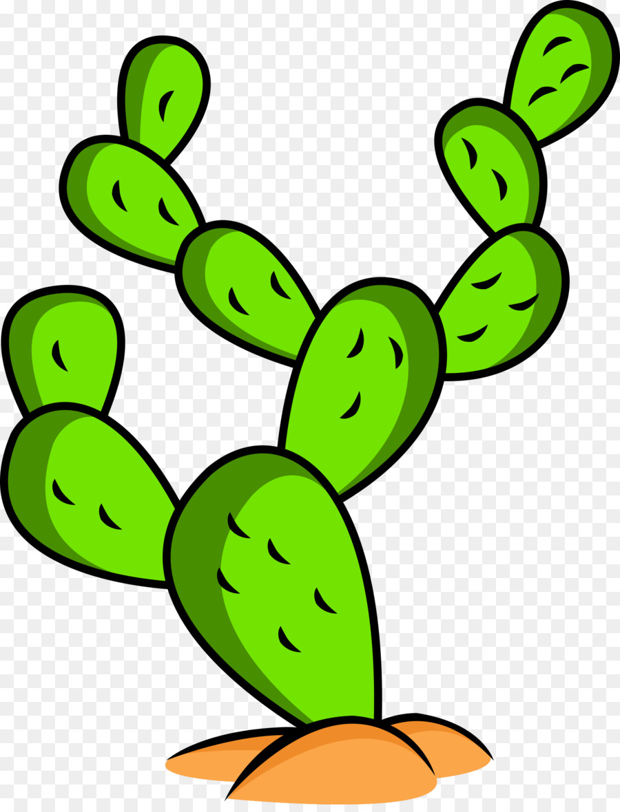 Cactus，Dessin PNG