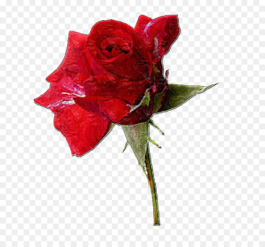 Rose，Or PNG