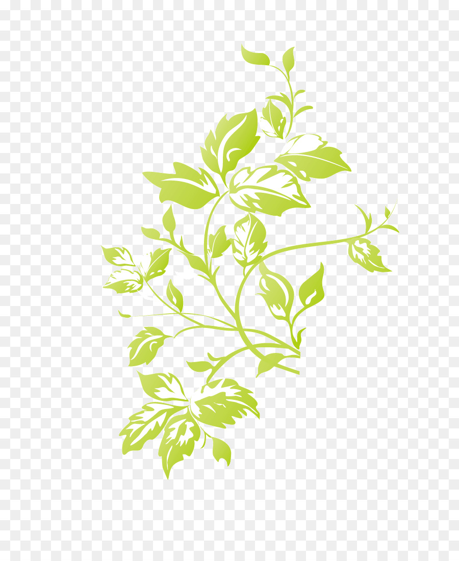 Plante Herbacée，Les Plantes PNG
