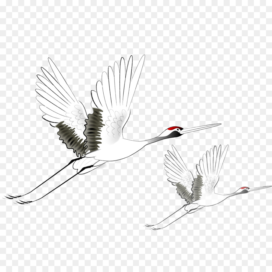 Grue，Redcrowned Grue PNG