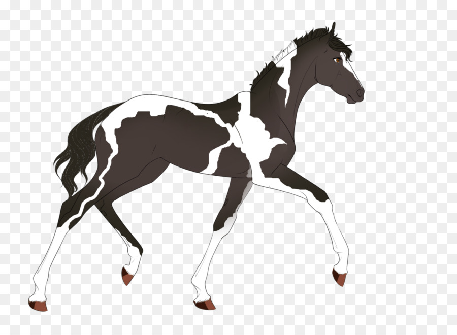 Cheval，équidé PNG