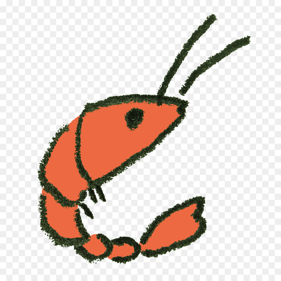 Crevettes，Atyidae PNG