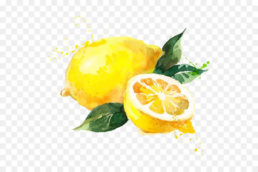 Citron，Royaltyfree PNG