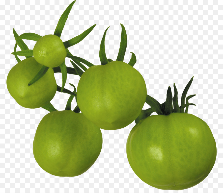 Tomate Verte，Vert PNG