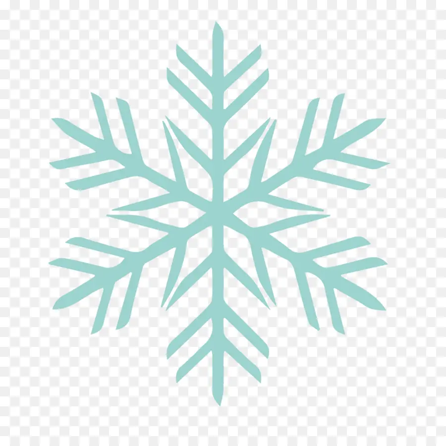 Flocon De Neige，Hiver PNG